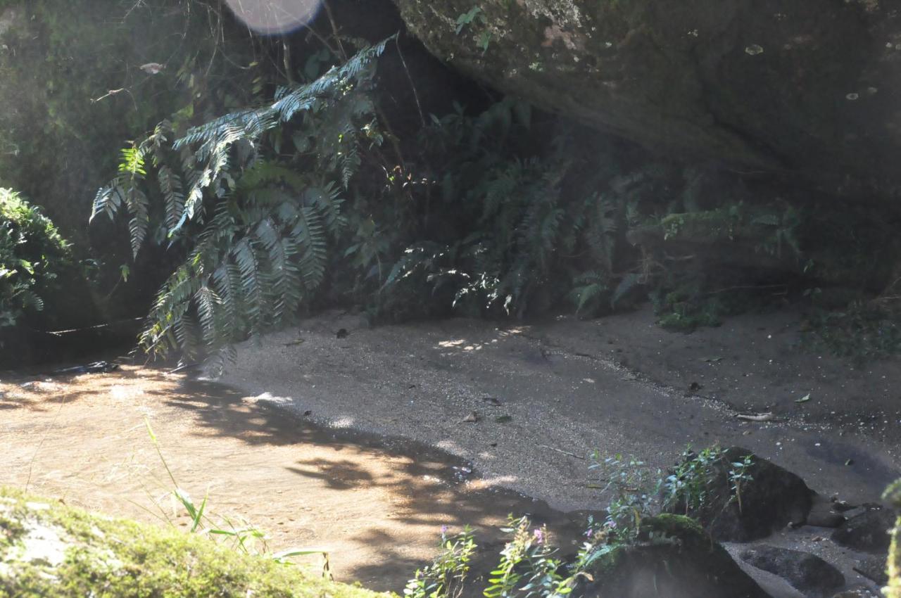 Alojamento de Turismo Selvagem Oca Ecológico Paraty