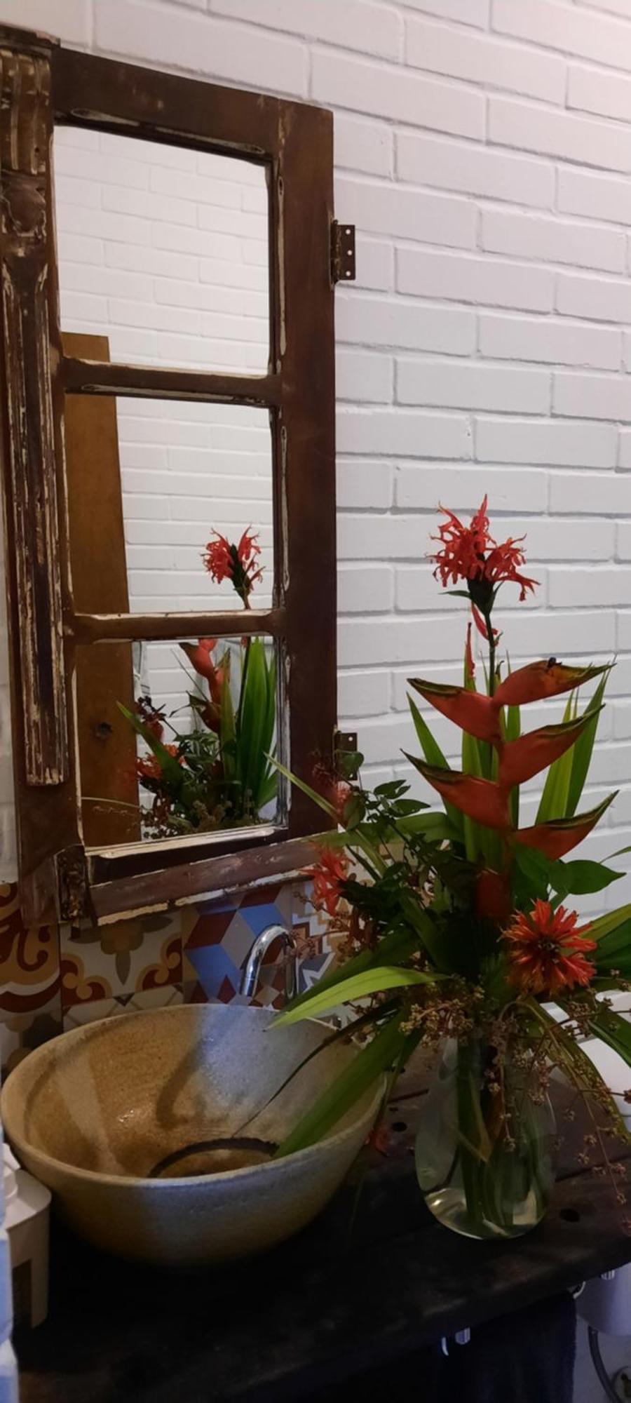 Oca Ecológico Paraty